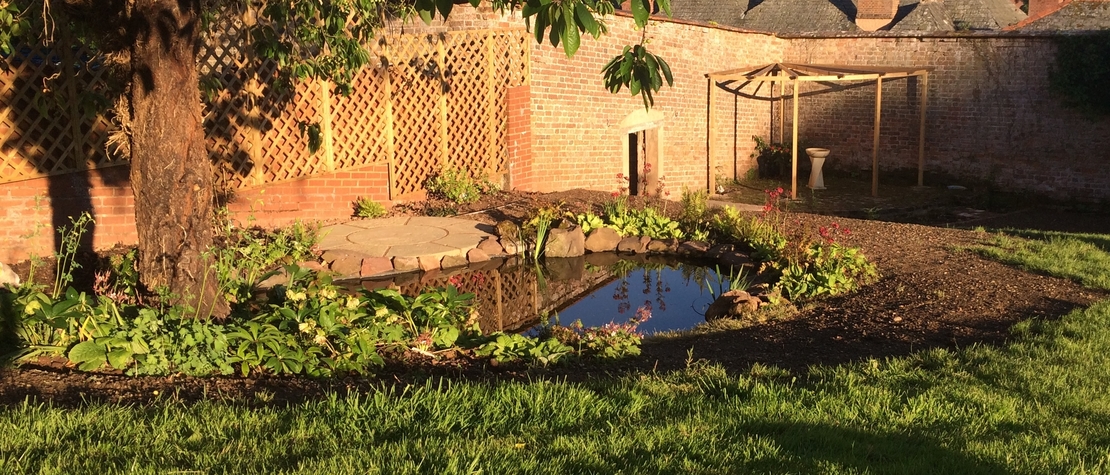 Garden with pond